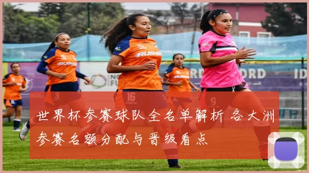 世界杯参赛球队全名单解析 各大洲参赛名额分配与晋级看点