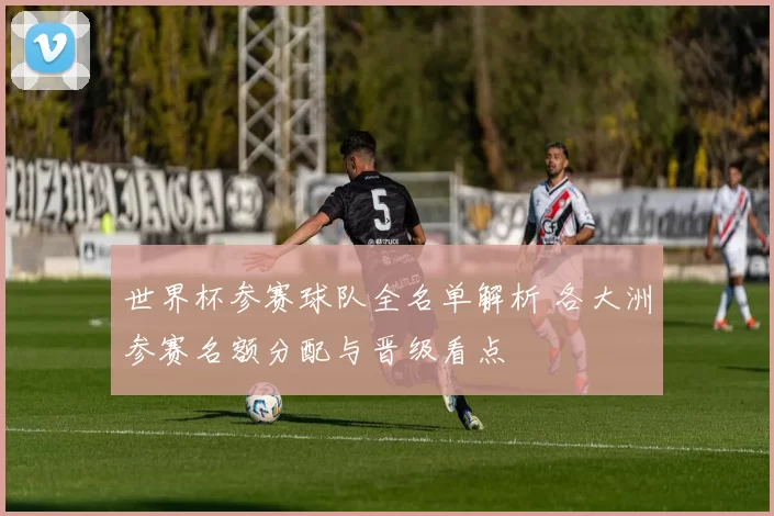 世界杯参赛球队全名单解析 各大洲参赛名额分配与晋级看点