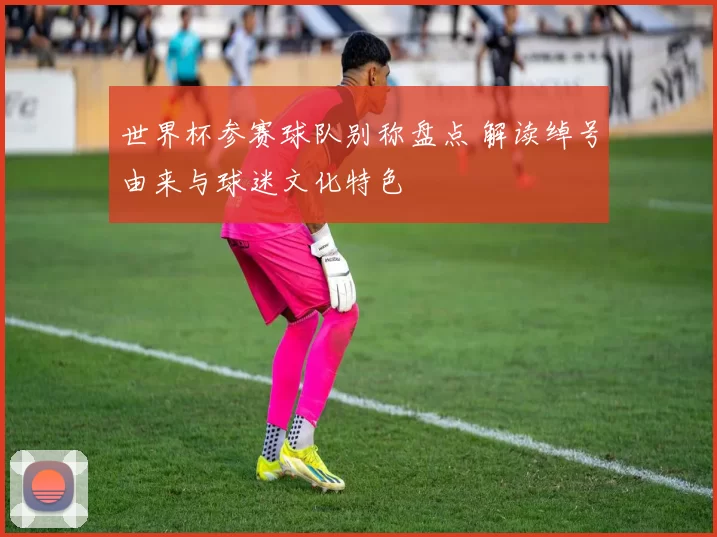世界杯参赛球队别称盘点 解读绰号由来与球迷文化特色