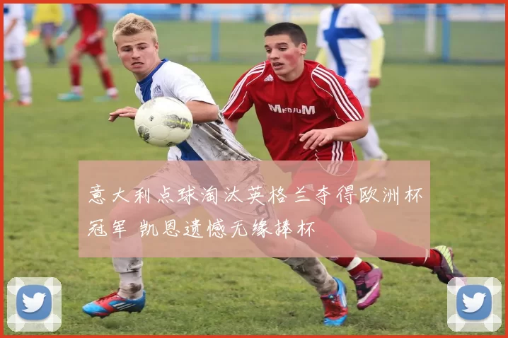 意大利点球淘汰英格兰夺得欧洲杯冠军 凯恩遗憾无缘捧杯