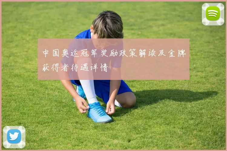 中国奥运冠军奖励政策解读及金牌获得者待遇详情